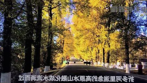 7月娱乐圈最新爆料：明星沙雕瞬间大揭秘