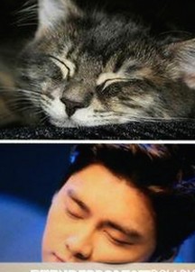 揭秘娱乐圈背后的吃瓜内幕与明星动态